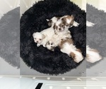 Small #11 Breeder Profile image