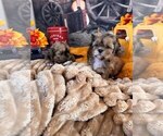 Small #11 Breeder Profile image