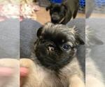 Small #2 Breeder Profile image