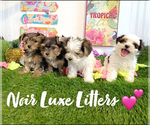 Small #23 Breeder Profile image