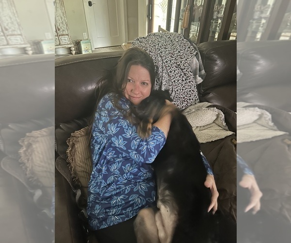 Medium Photo #6  Breeder Profile in BAYTOWN, TX, USA