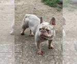 Small #10 Breeder Profile image