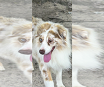 Small #4 Breeder Profile image