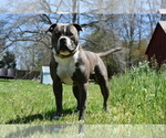 Small #64 Breeder Profile image