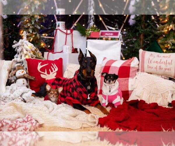 Medium Photo #73  Breeder Profile in HOMERVILLE, GA, USA