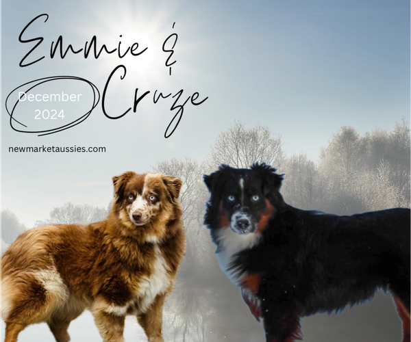 Medium Photo #1  Breeder Profile in MARYSVILLE, IN, USA
