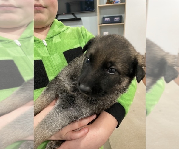 Medium Photo #6  Breeder Profile in MADISON HEIGHTS, VA, USA