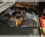 Small #13 Breeder Profile image