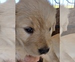 Small #2 Breeder Profile image