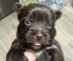 Small #4 Breeder Profile image