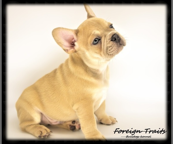 Medium Photo #1  Breeder Profile in SAN BERNARDINO, CA, USA