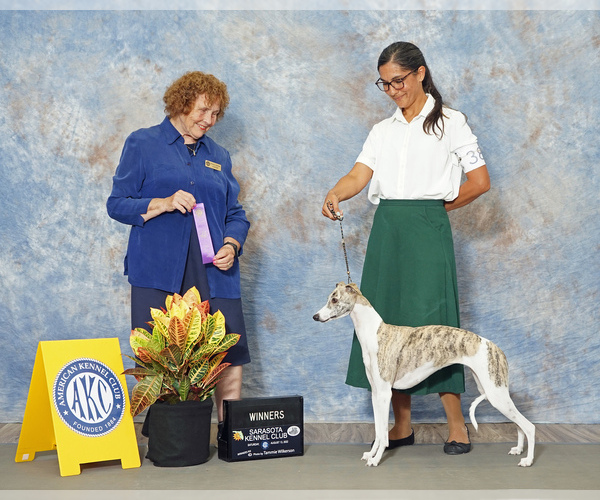 Medium Photo #1  Breeder Profile in WINTER GARDEN, FL, USA