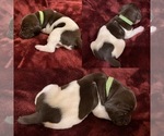Small #11 Breeder Profile image