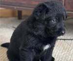 Small #2 Breeder Profile image