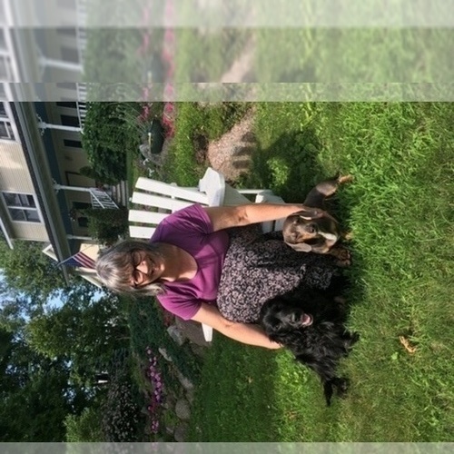 Medium Photo #1  Breeder Profile in TIGERTON, WI, USA