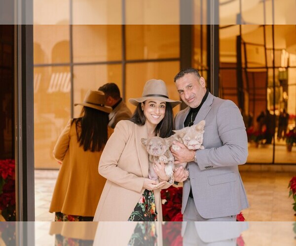 Medium Photo #1  Breeder Profile in CULVER CITY, CA, USA