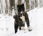 Small #3 Breeder Profile image