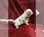 Small #91 Breeder Profile image