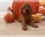 Small #2 Breeder Profile image