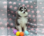 Small #4 Breeder Profile image