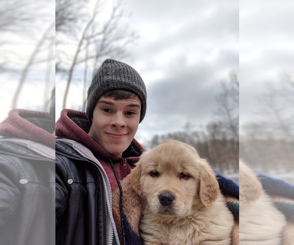 Medium Photo #1  Breeder Profile in MILLERSBURG, OH, USA