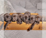 Small #8 Breeder Profile image