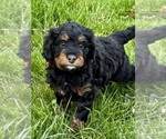 Small #1 Breeder Profile image