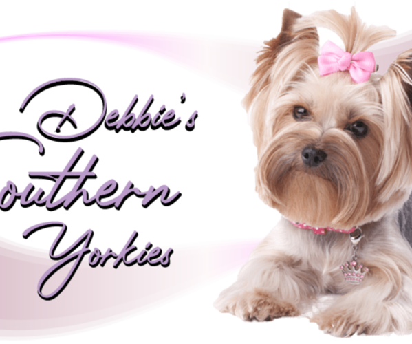Medium Photo #1  Breeder Profile in ROCKWOOD, TN, USA