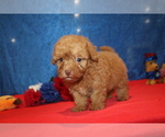 Small #2 Breeder Profile image