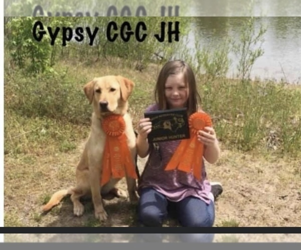 Medium Photo #39  Breeder Profile in NEWPORT, NC, USA