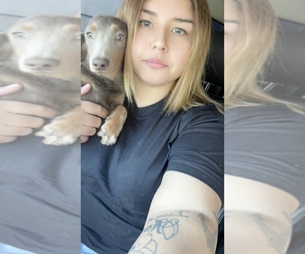 Medium Photo #1  Breeder Profile in TWENTYNINE PALMS, CA, USA