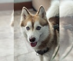 Small #40 Breeder Profile image