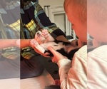 Small #1 Breeder Profile image