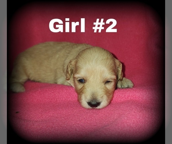 Medium Photo #3  Breeder Profile in MULBERRY, FL, USA