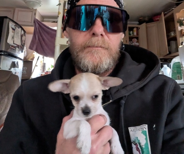 Medium Photo #1  Breeder Profile in GOLDEN, CO, USA