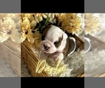 Small #5 Breeder Profile image