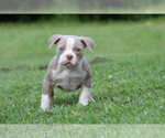 Small #11 Breeder Profile image