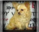 Small #13 Breeder Profile image