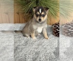 Small #11 Breeder Profile image