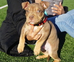 Small #8 Breeder Profile image