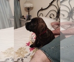 Small #9 Breeder Profile image