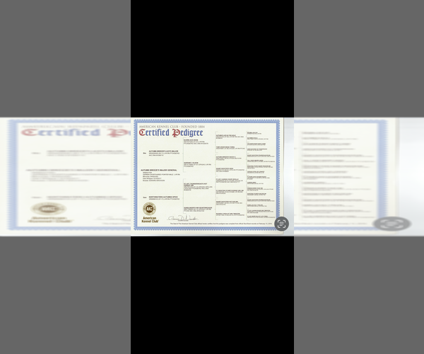 Medium Photo #4  Breeder Profile in WABASSO, MN, USA