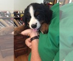 Small #23 Breeder Profile image