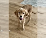 Small #9 Breeder Profile image