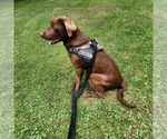 Small #5 Breeder Profile image