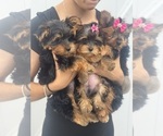 Small #8 Breeder Profile image