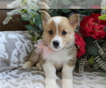 Small #8 Breeder Profile image