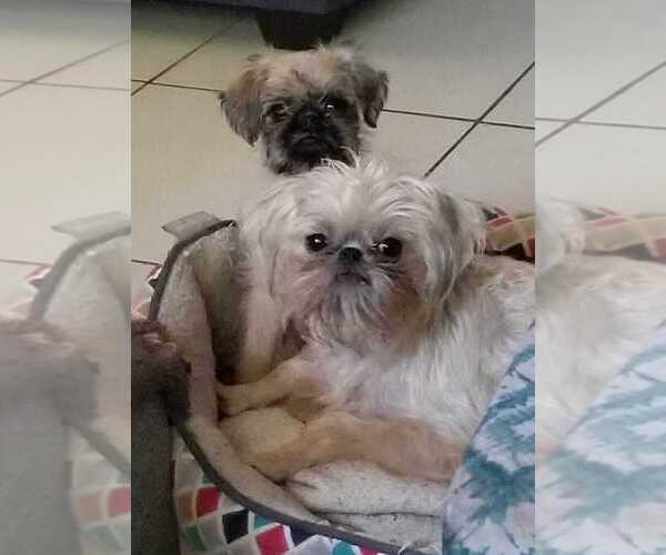 Medium Photo #1  Breeder Profile in HOUSTON, TX, USA