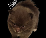 Small #8 Breeder Profile image