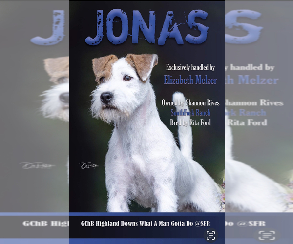 Medium Photo #1  Breeder Profile in PEABODY, KS, USA